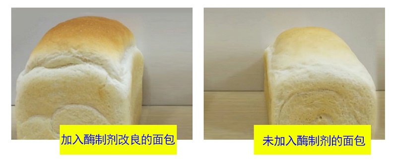 面包