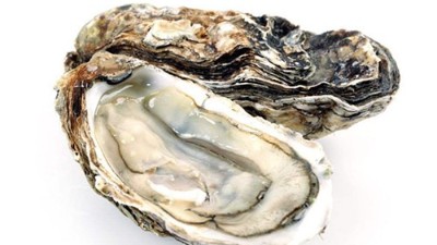 蛋白肽与男性功能有哪些关联？