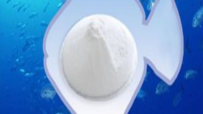 鱈鱼皮水解制取胶原蛋白低聚肽