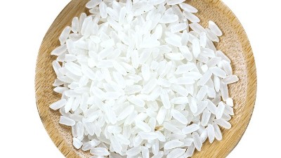 酶解法制备大米肽的应用