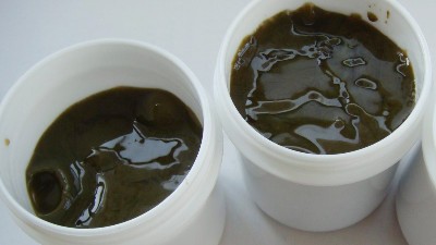 利用蛋白酶增强酶解虾膏的诱食性风味