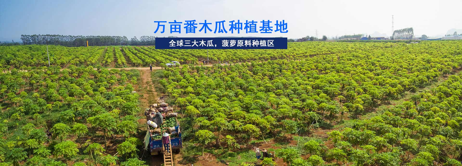 天生赢家凯发-工业园占地5亩，生产车间10000㎡